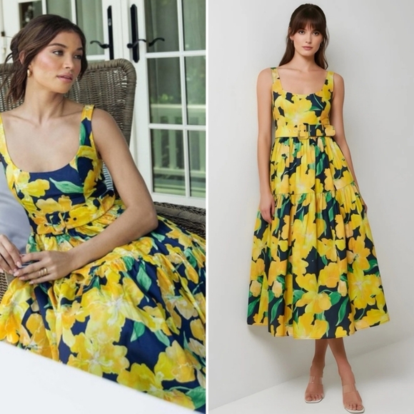 Anthropologie Dresses & Skirts - 🎀NWT Anthropologie Hutch Alice Belted Floral-Print Midi Dress
